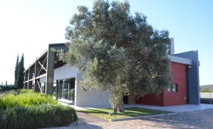 Papagiannakos Winery (photo: E. Lebel/oenopole) Papagiannakos Winery (photo: E. Lebel/oenopole)